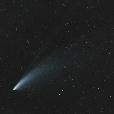 c2020-f3