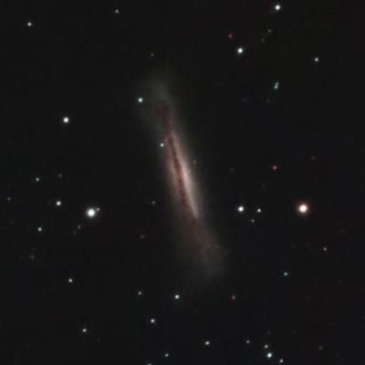 leo-triplet-ngc3628
