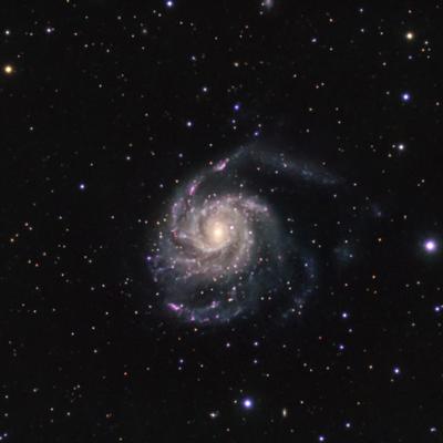 m-101