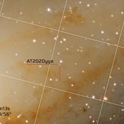 m-31-2-crop1