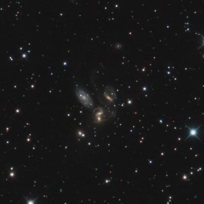 quintet-crop-1