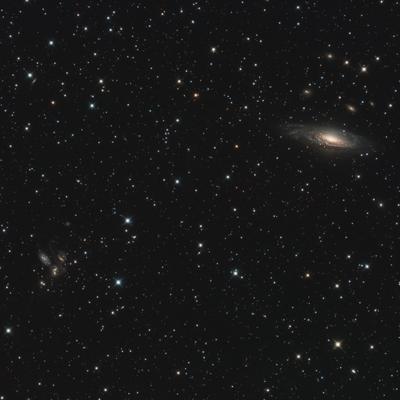quintet