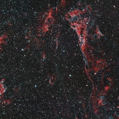 veil-complex